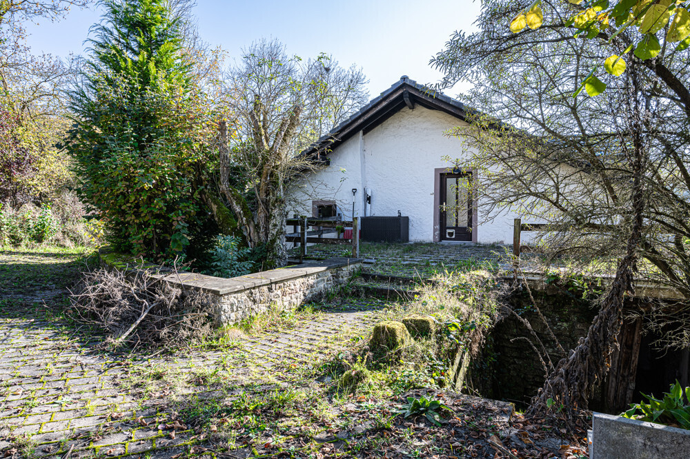 Immobilienbild