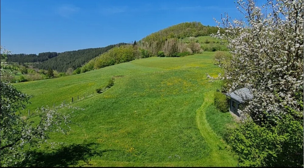 Aussicht rückseitig