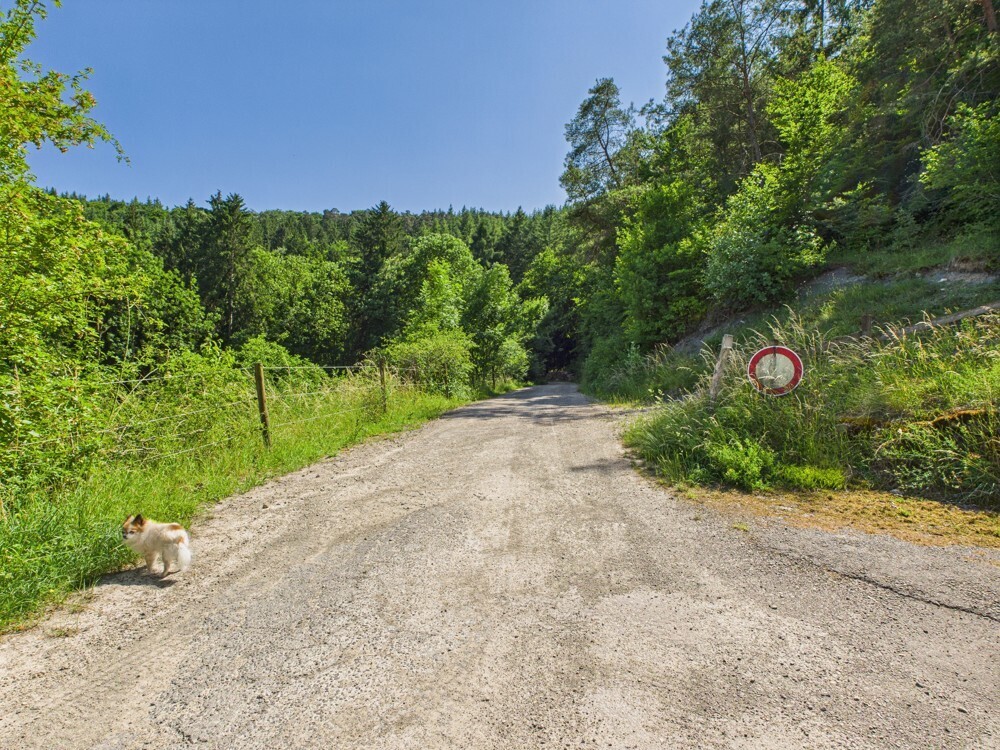 Waldrandlage