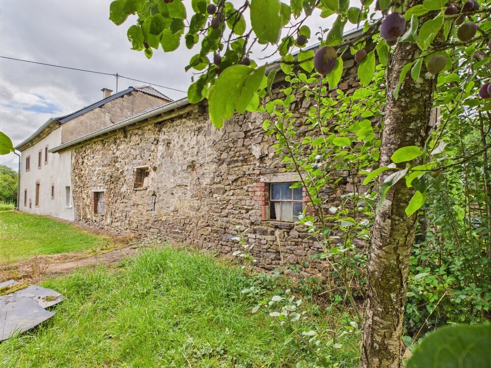 Stallungen Rückansicht