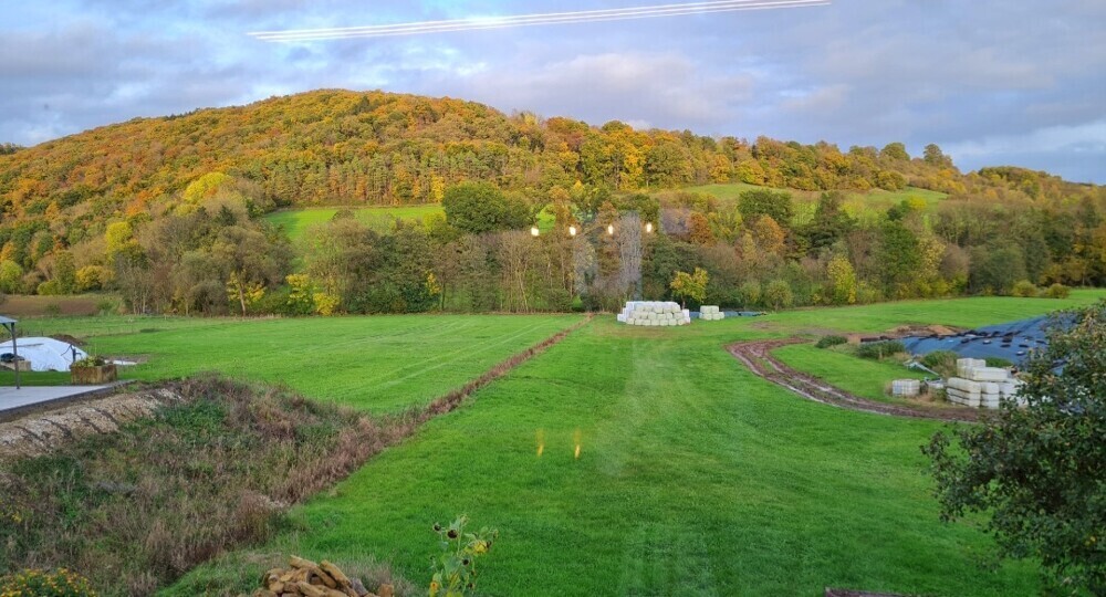 Blick aus der Küche