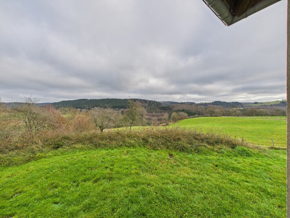 Naturblick von der Terrasse