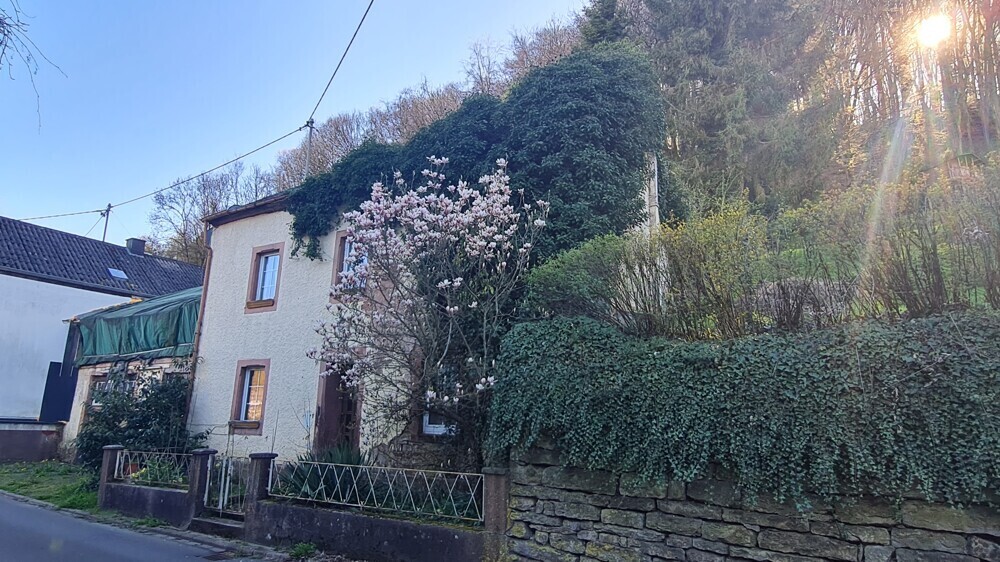 Seitenansicht rechts
