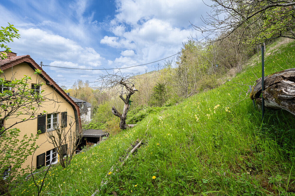 Rückansicht