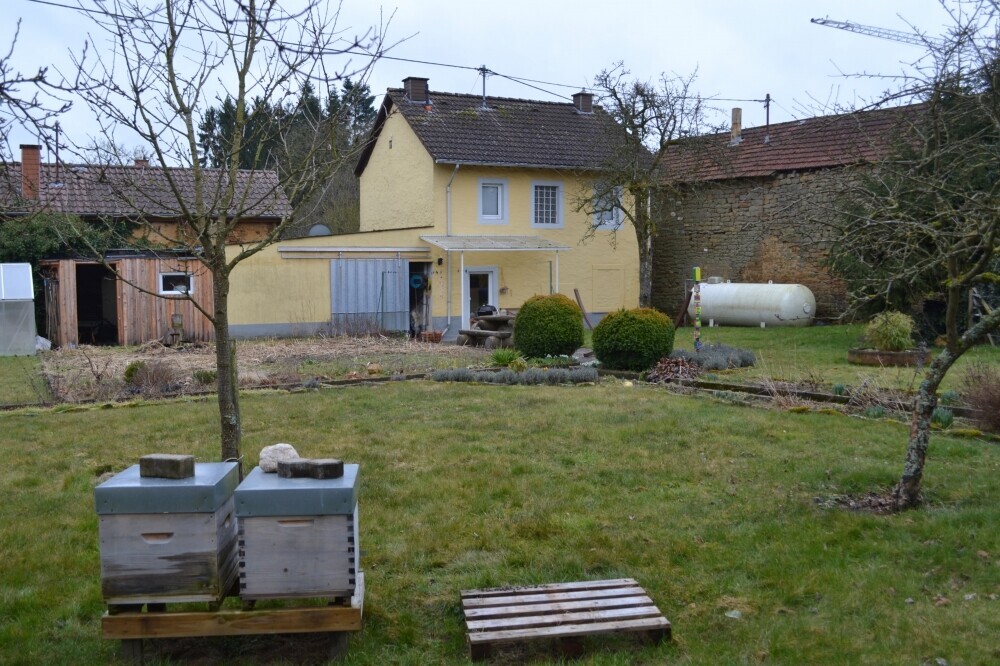 Garten_Bienen