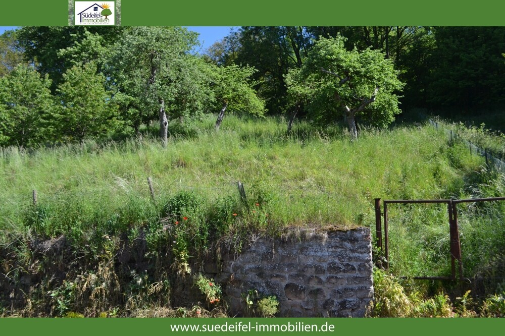 Frontalansicht_rechtsseitig