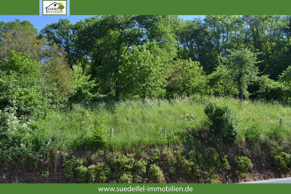 Straßenansicht_linksseitig