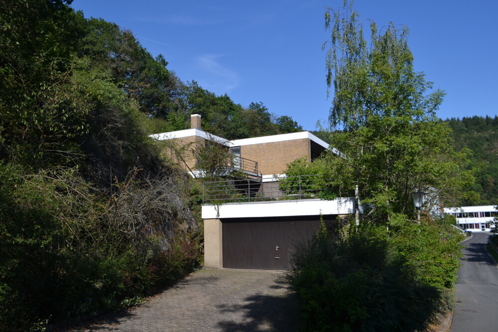 Zufahrt_Doppelgarage