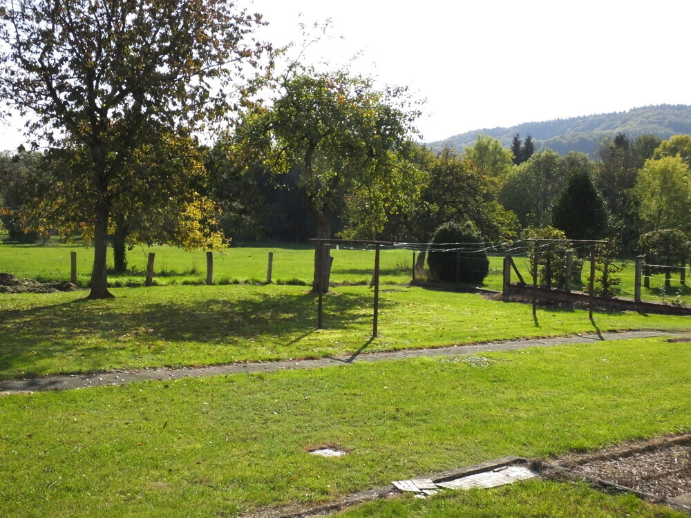 Garten hinter dem Haus