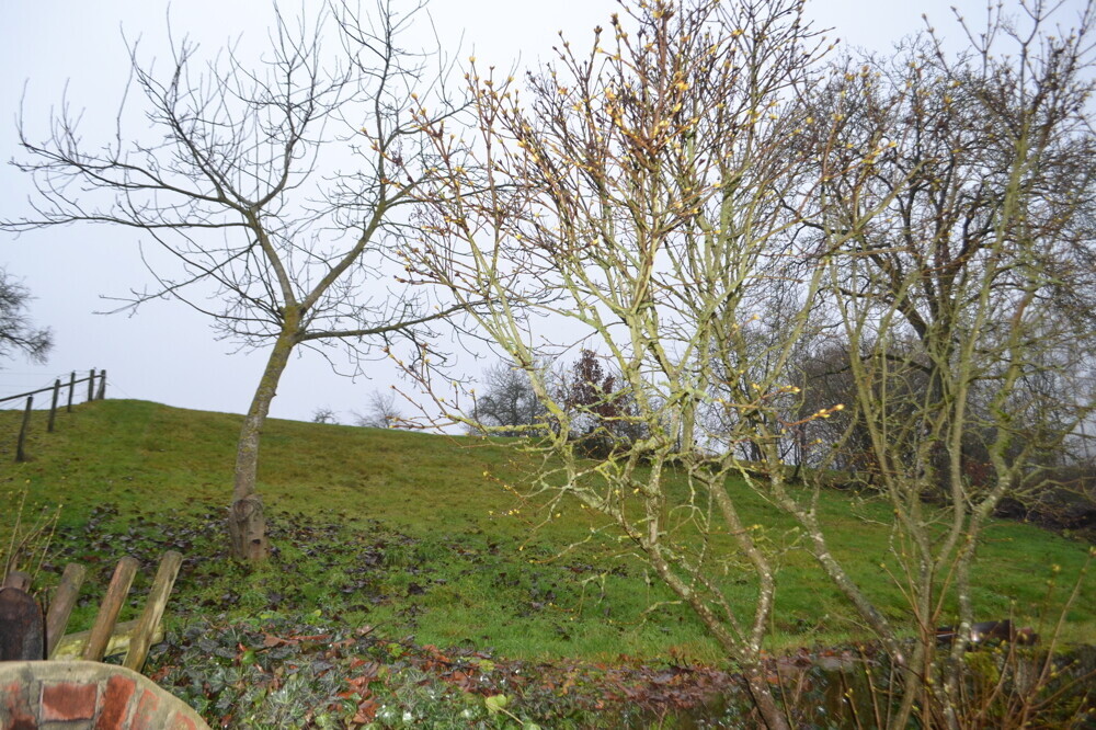 Grundstück Rückseite