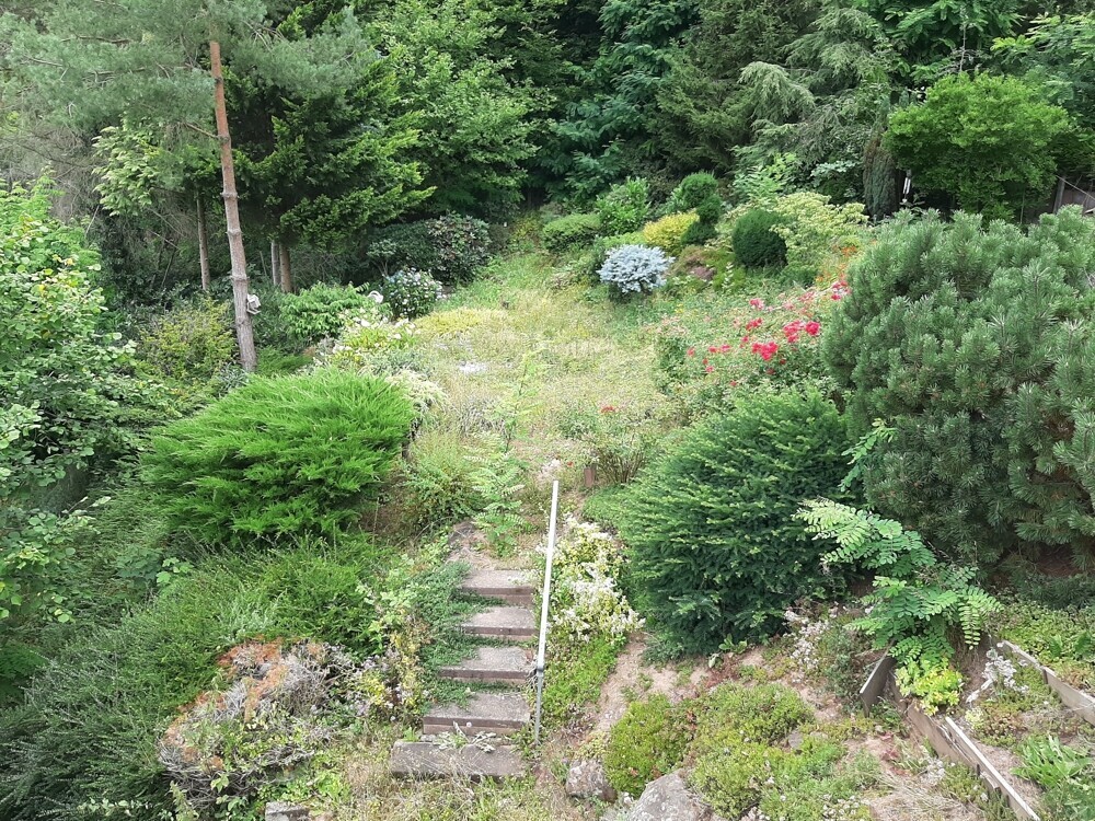Balkonaussicht zum Garten
