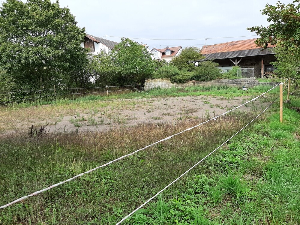 ehemaliger Reitplatz