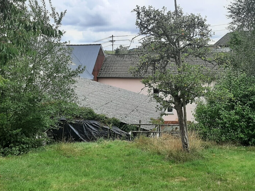 Sicht in den Garten