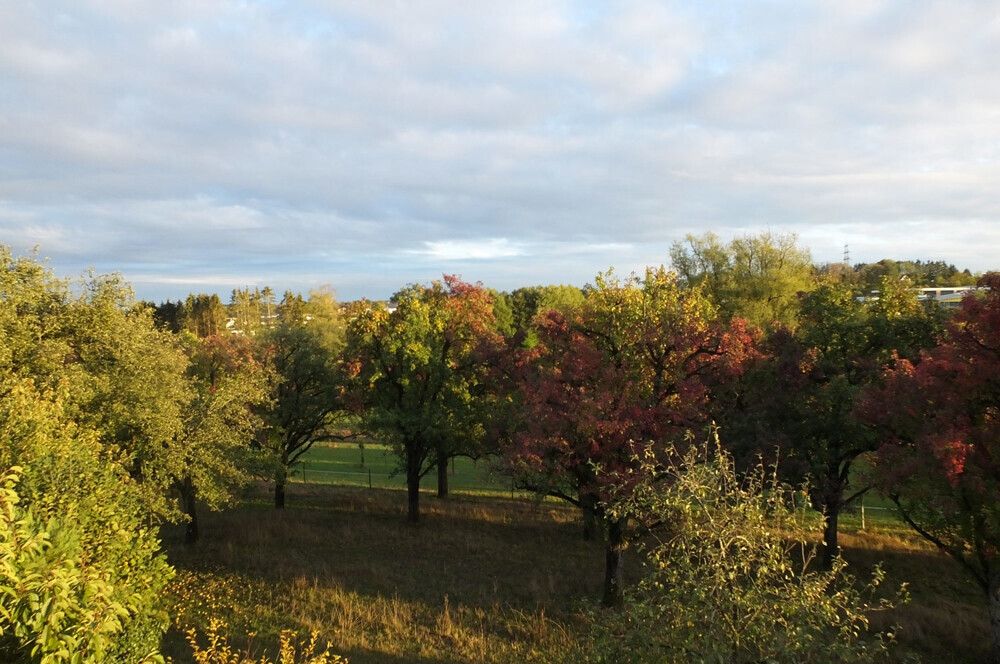 Balkonblick