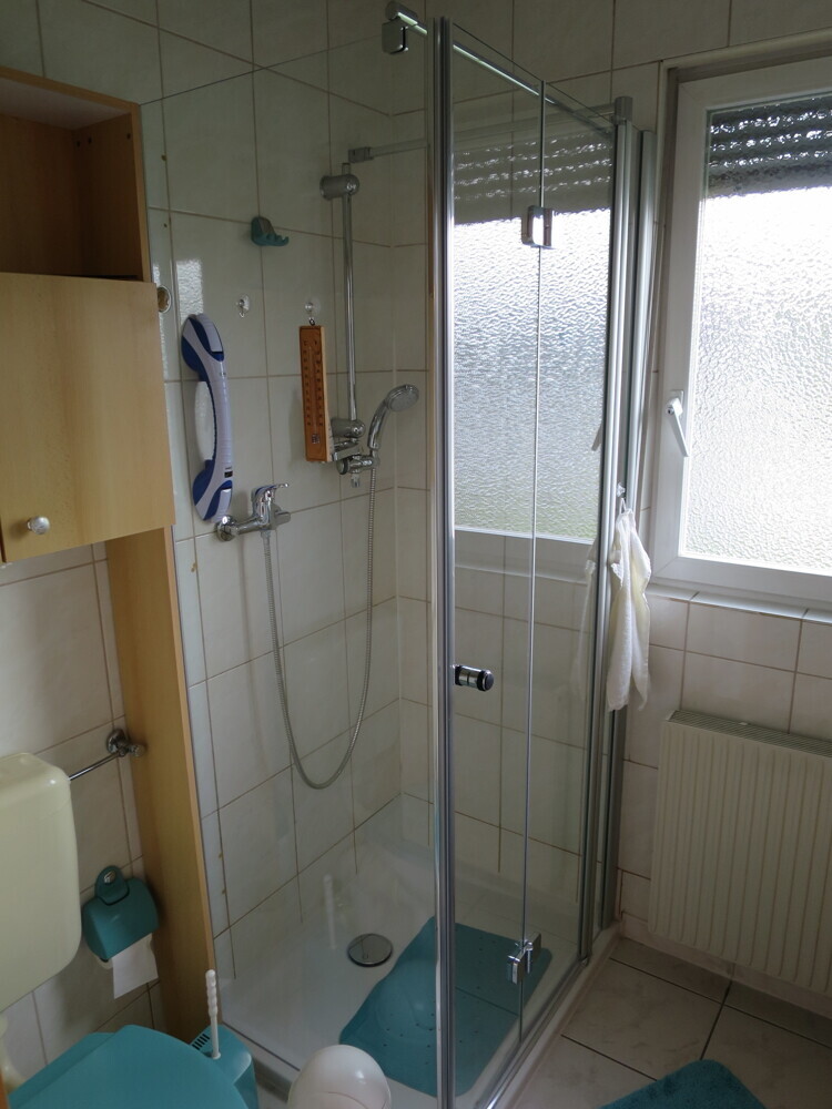 Gäste-WC mit Dusche