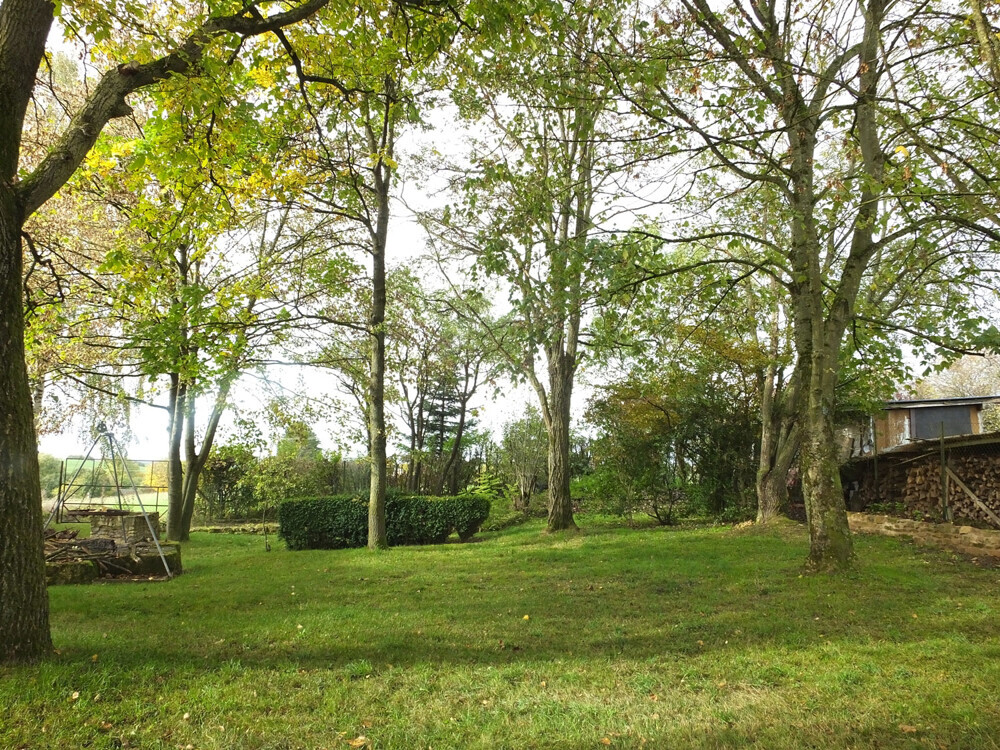 Garten im Sommer