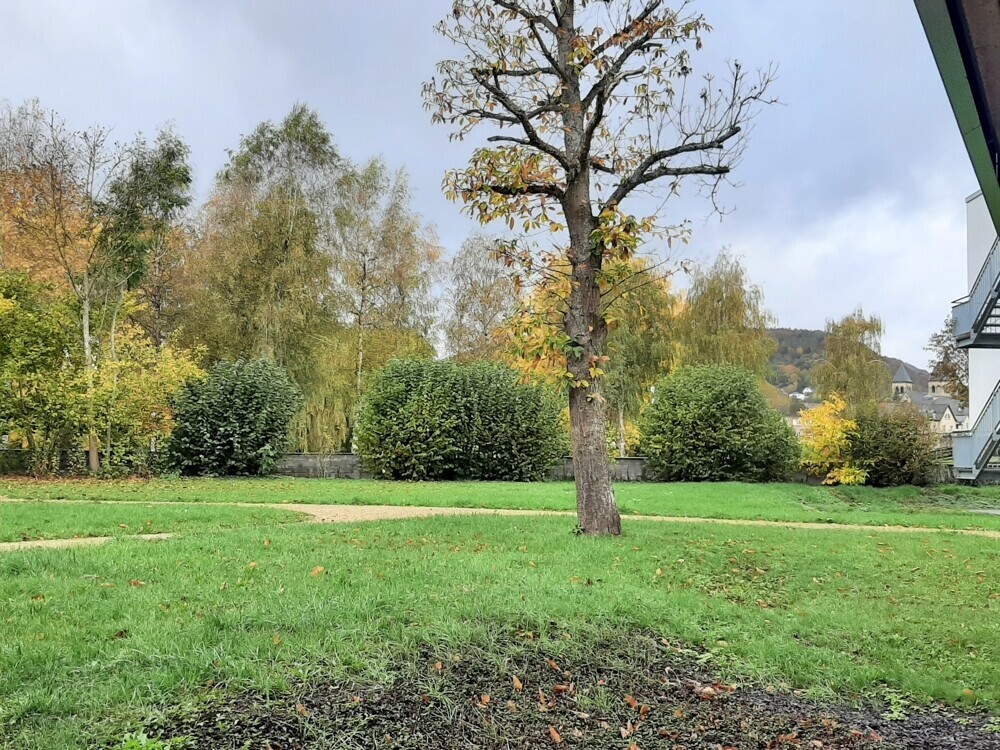 Haustiere erlaubt