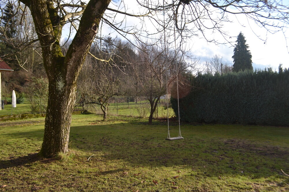 Wiese rückseitig
