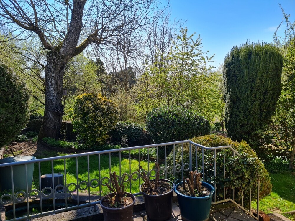 Blick zum Garten 