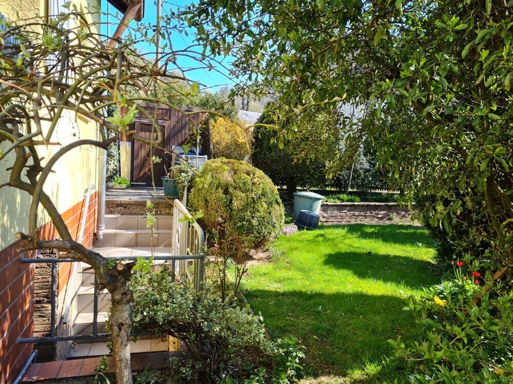 Blick aus dem Garten