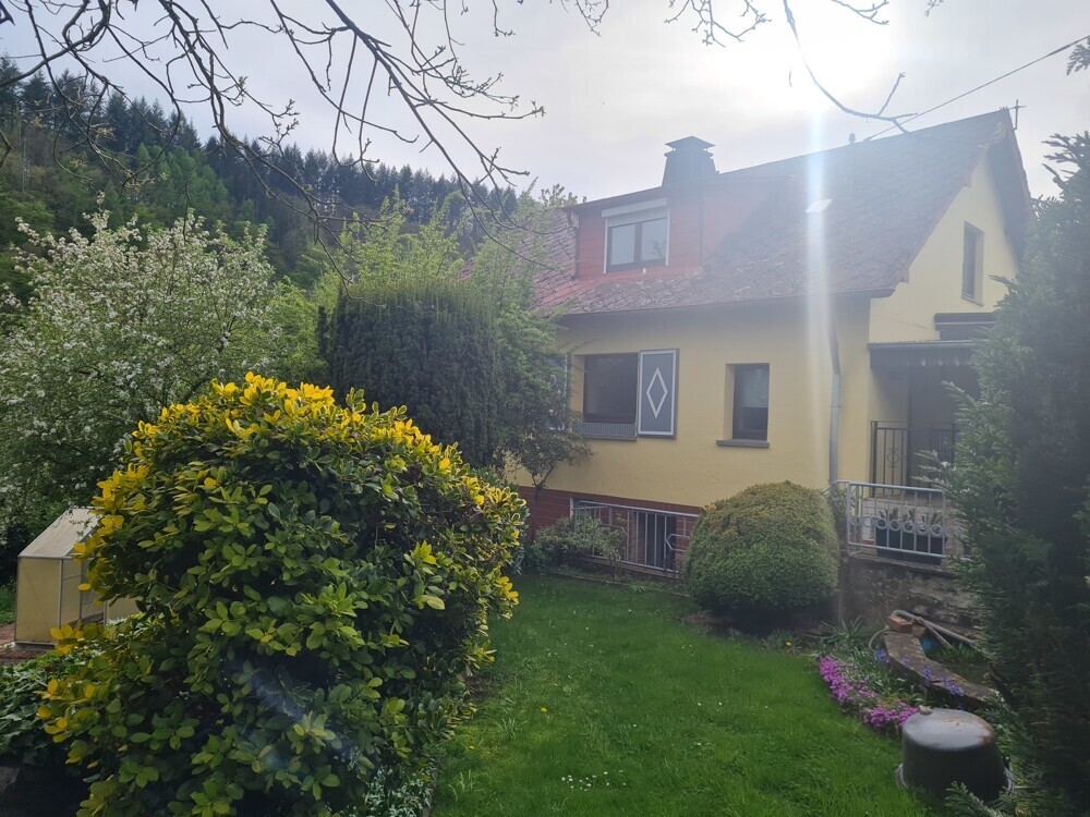 sunny afternoohn