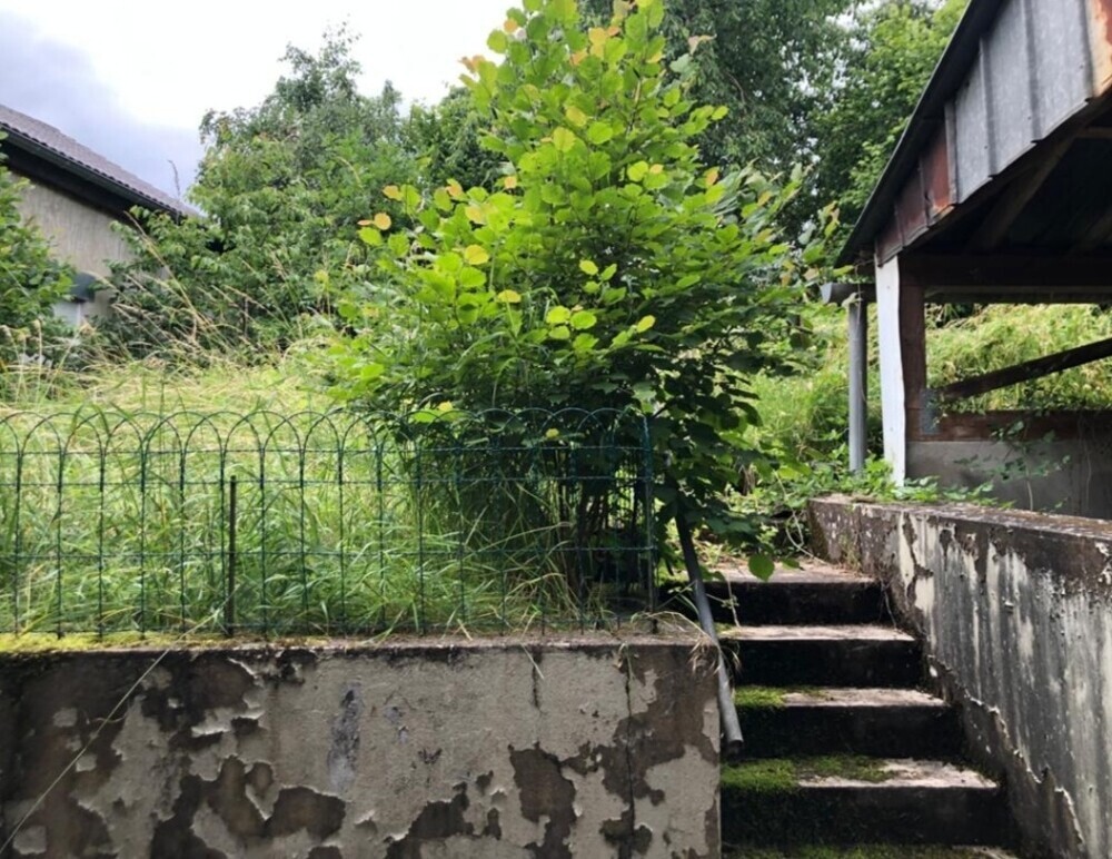 Gärtchen rückseitig