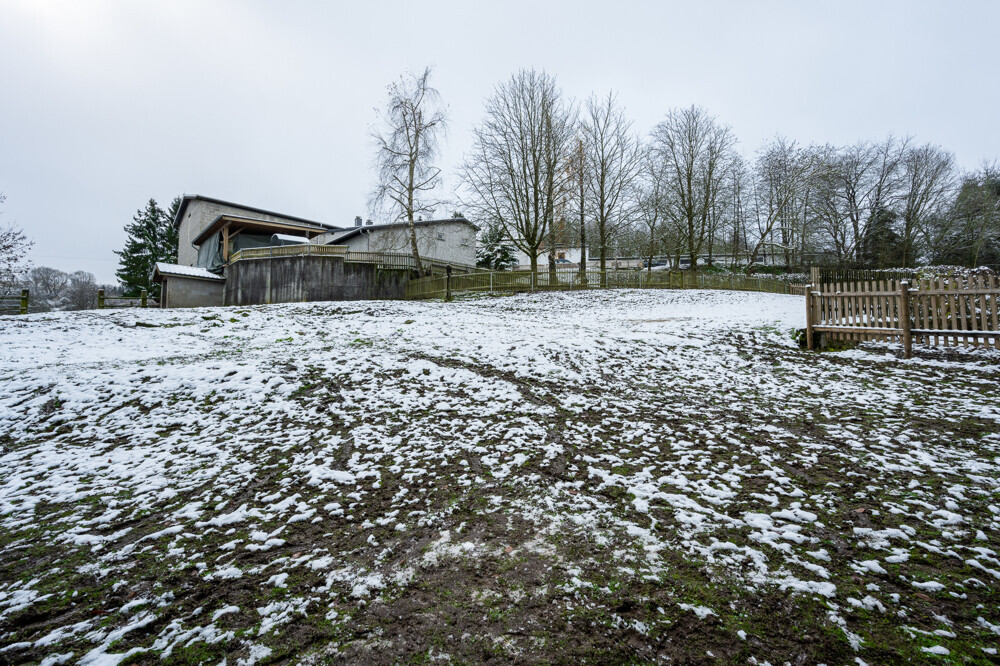 weite Weiden