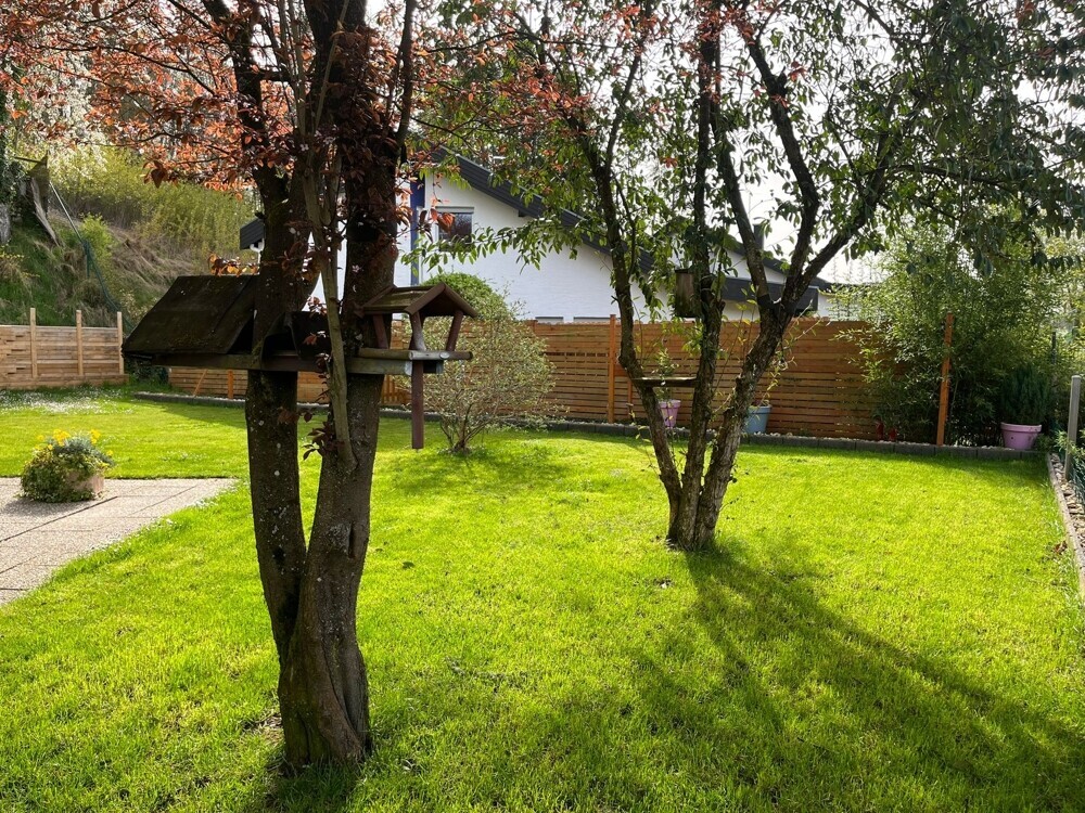 Garten / Wohlfühloase