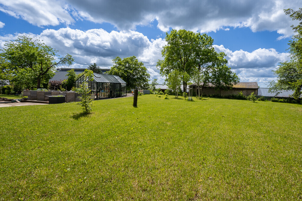 Sommerfoto