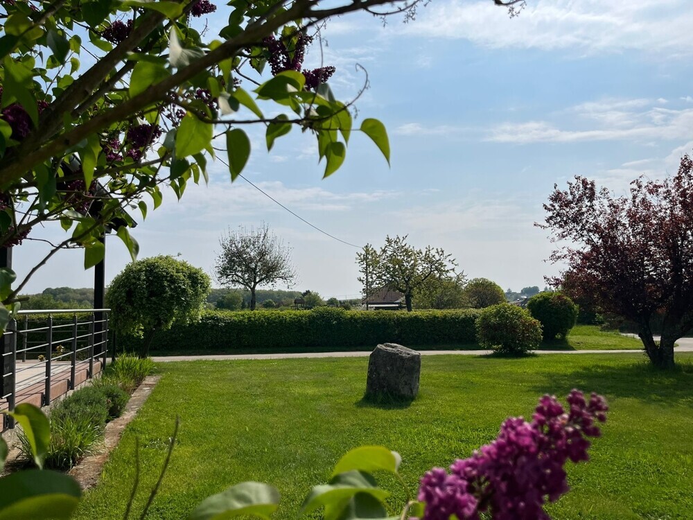 sehr gepflegte Außenanlage