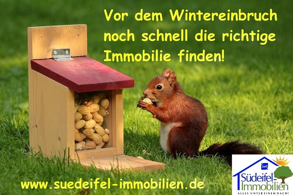 Eichhörnchen :-)