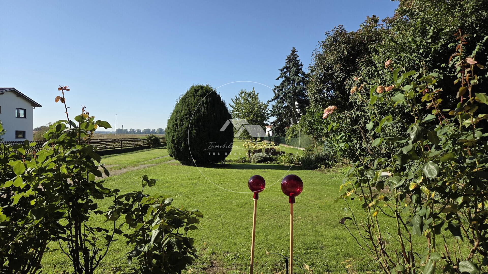 Blick in den Garten