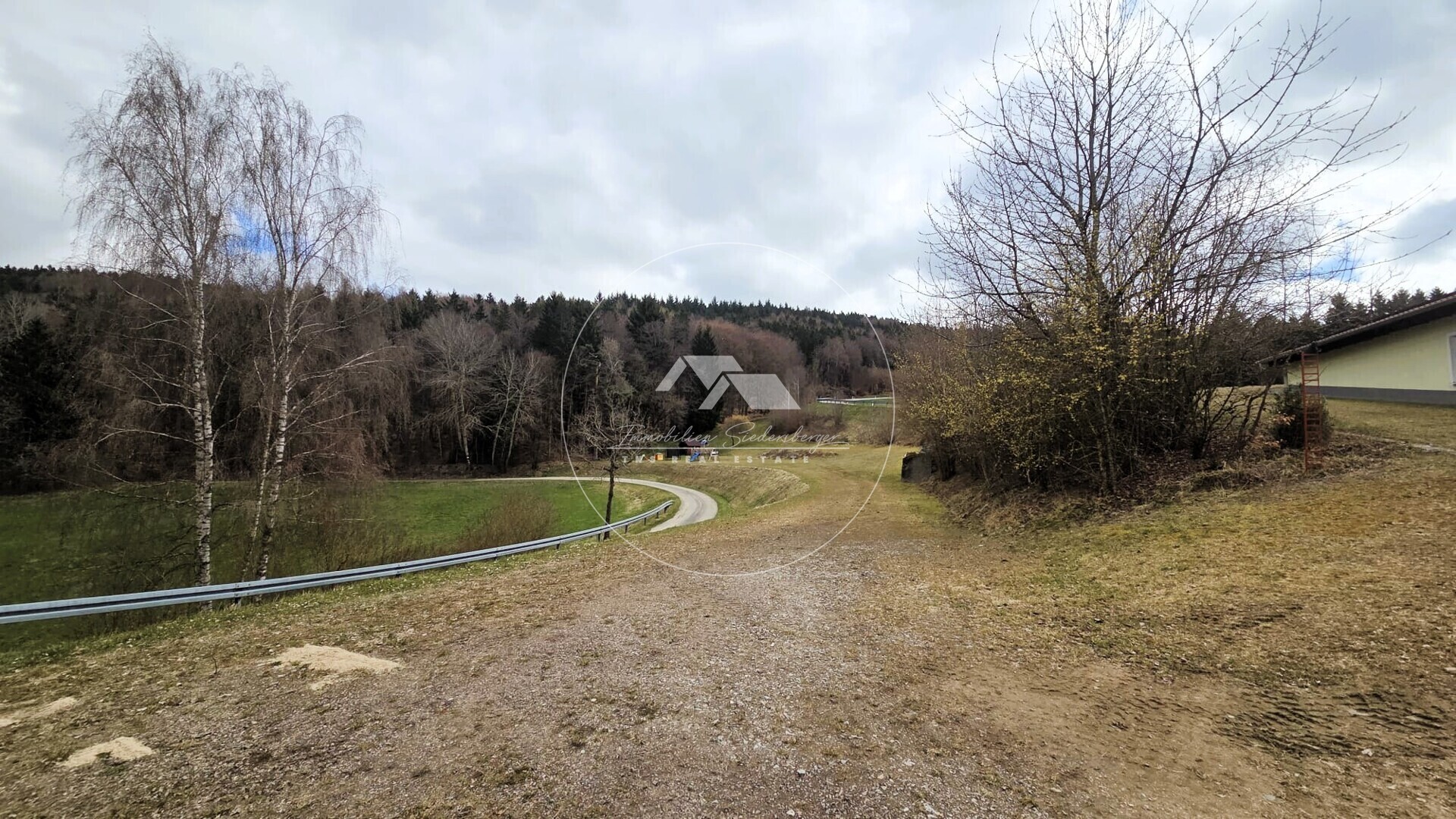 Freifläche