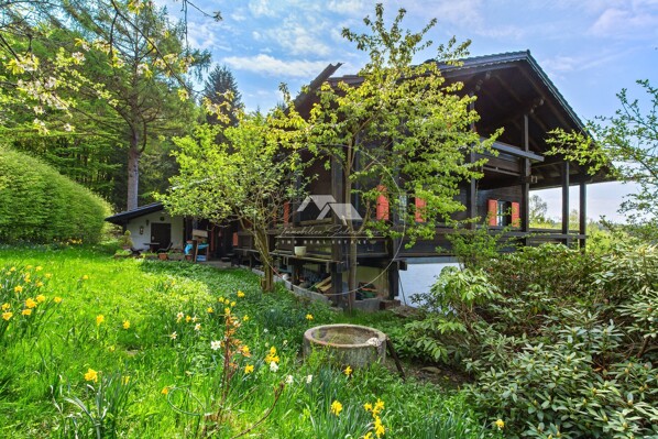 Garten mit Terrasse