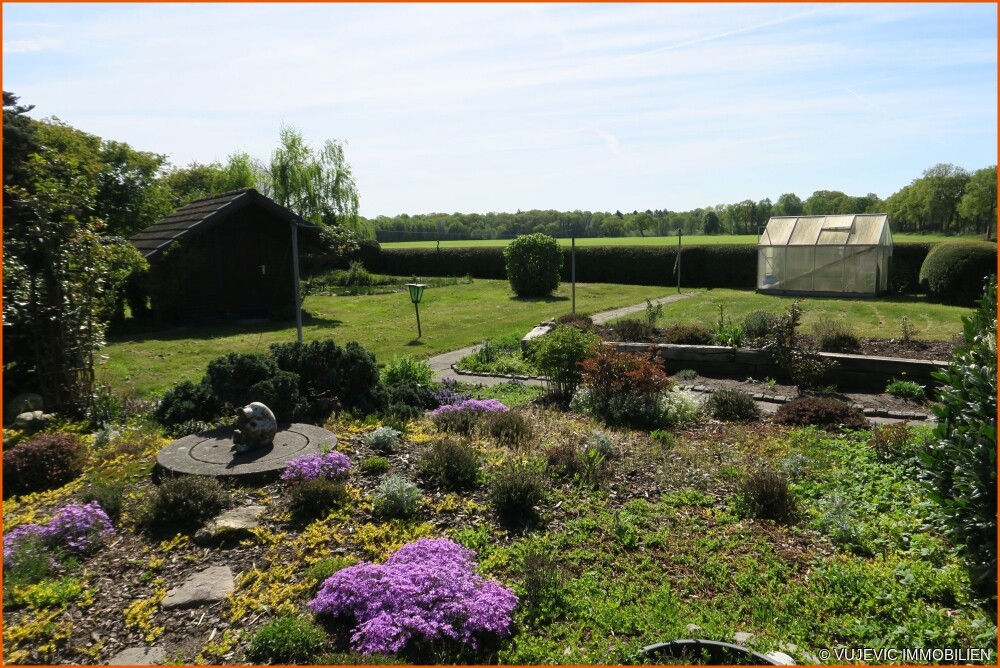 Blick in den Garten