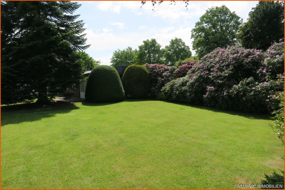 Blick in den Garten