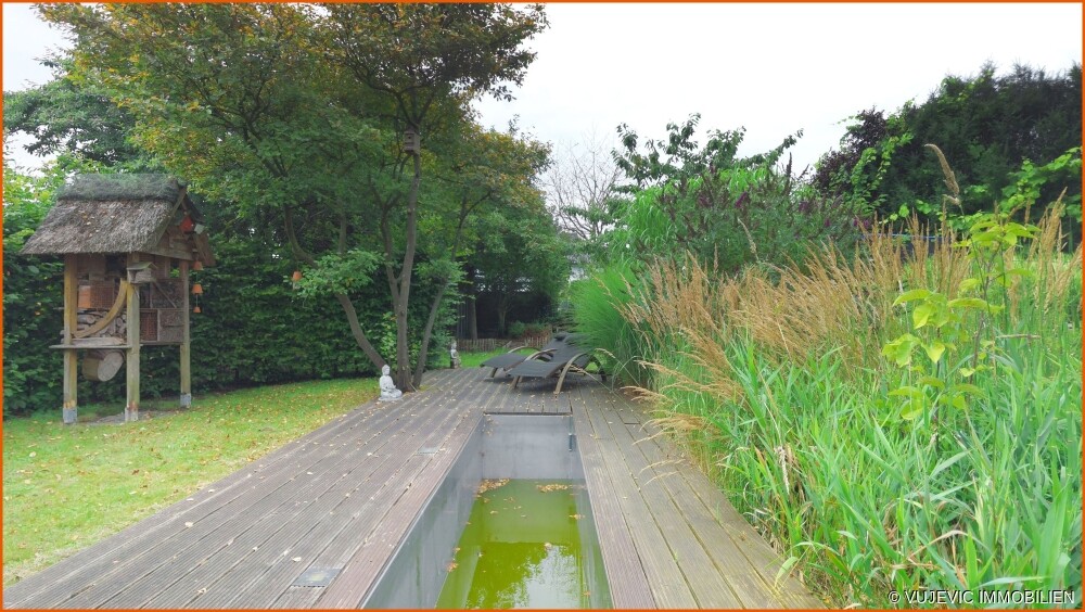Blick in den Garten
