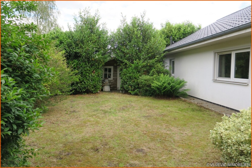 Blick in den Garten