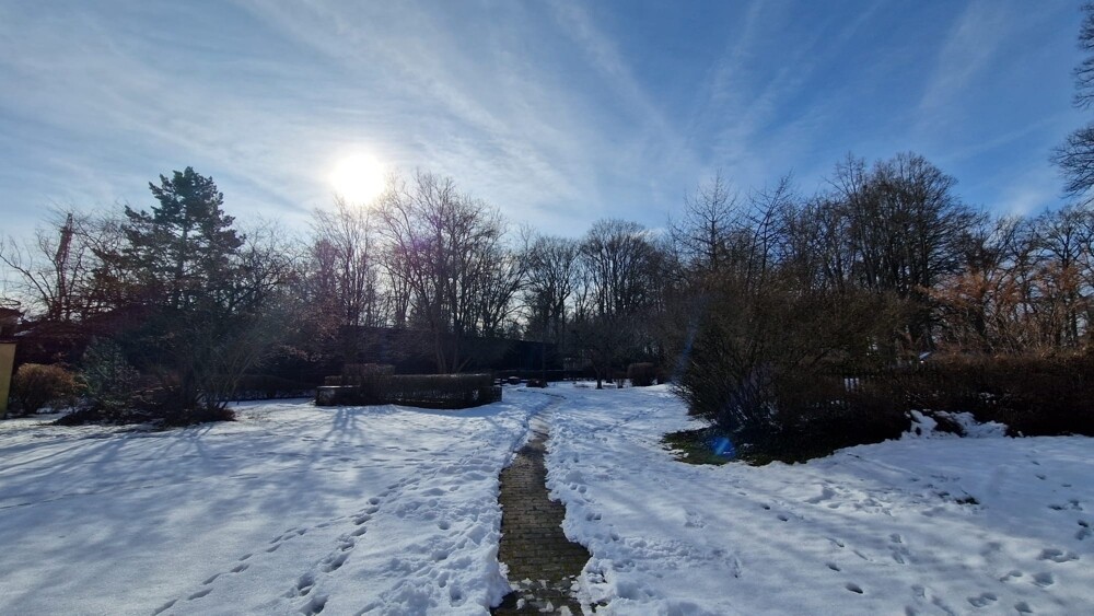 Blick in den Hofgarten