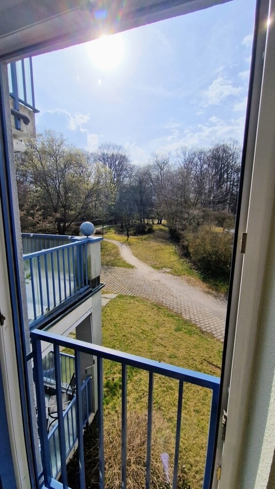 Blick in den Hofgarten 1