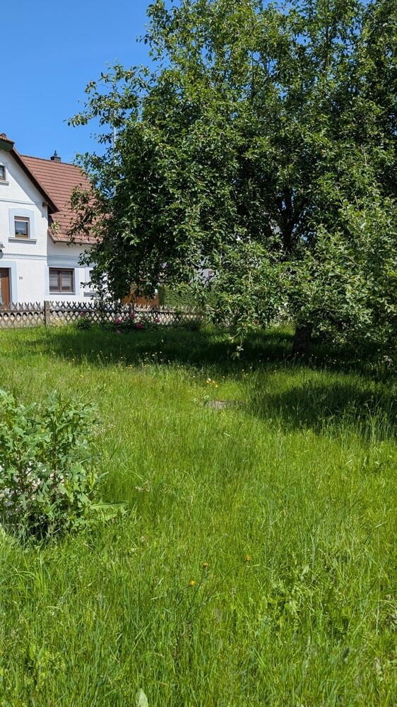 Blick in den Garten