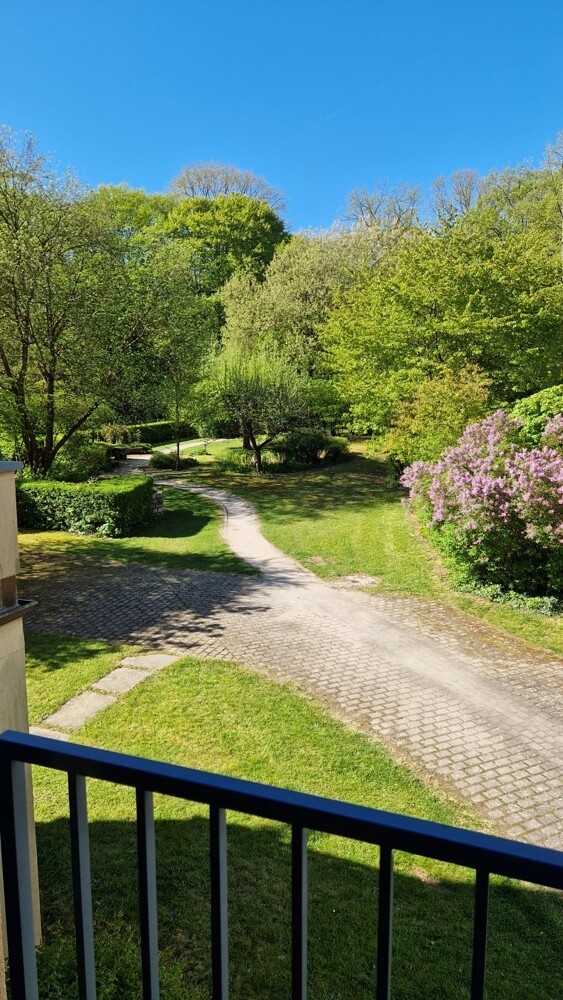 Blick in Richtung Hofgarten (2)
