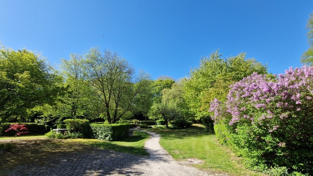 Außenanlagen Bild 1