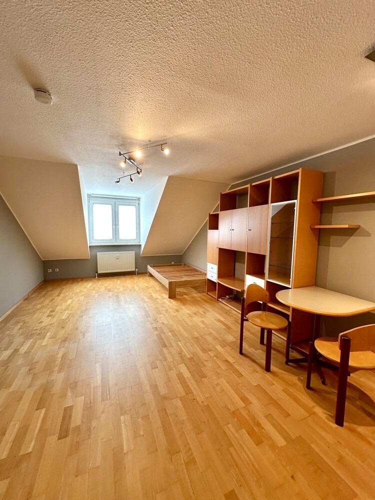 Wohn-Schlafzimmer (2)