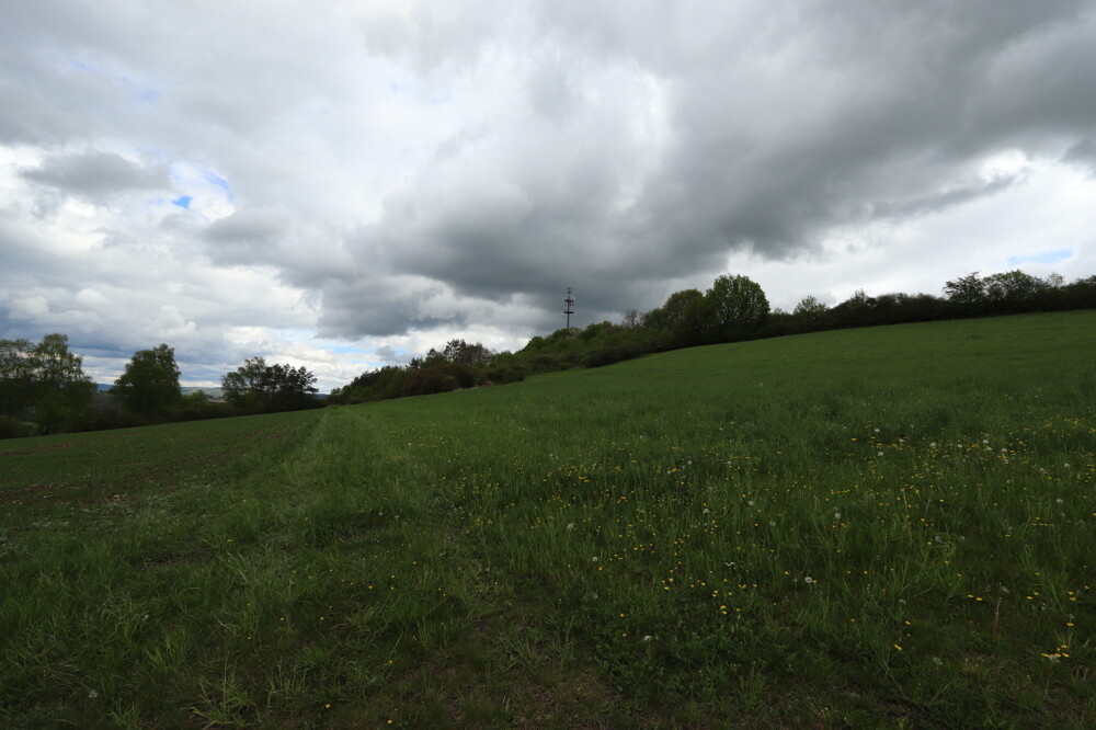 Ansicht