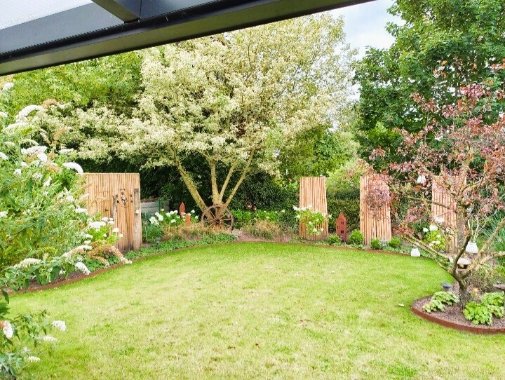 Blick in den Garten