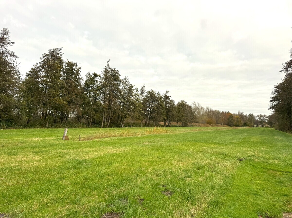seitl. Blick über die Fläche