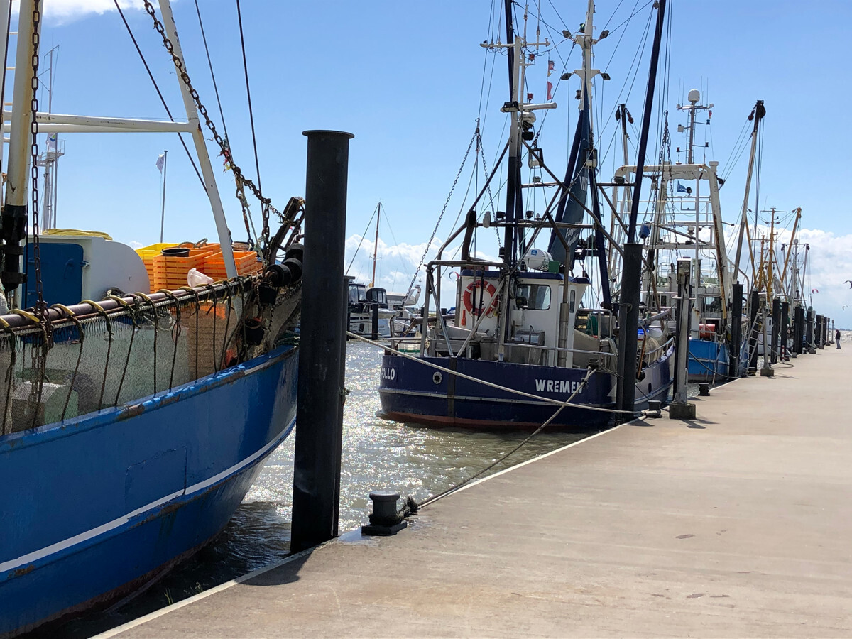 malerischer Kutterhafen vor der Haustür