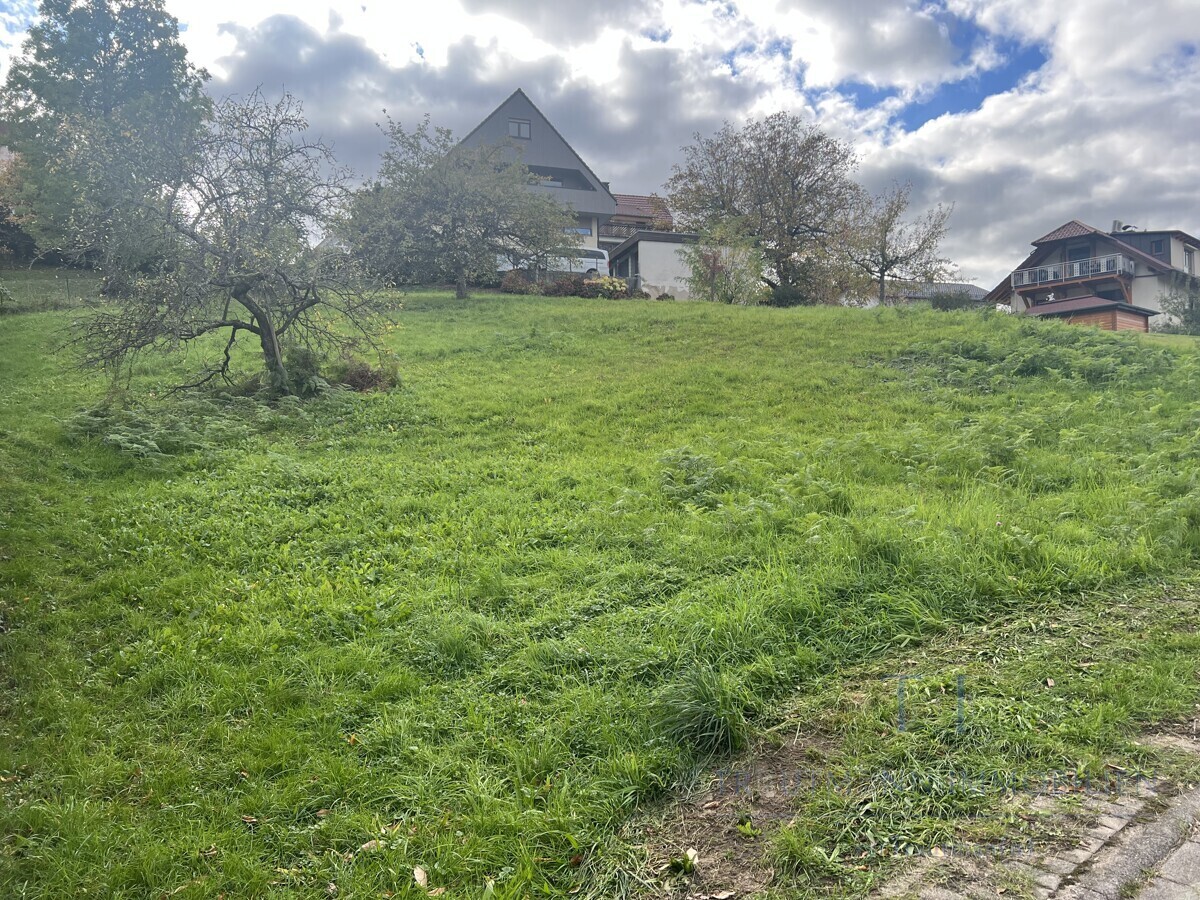 Immobilienbild