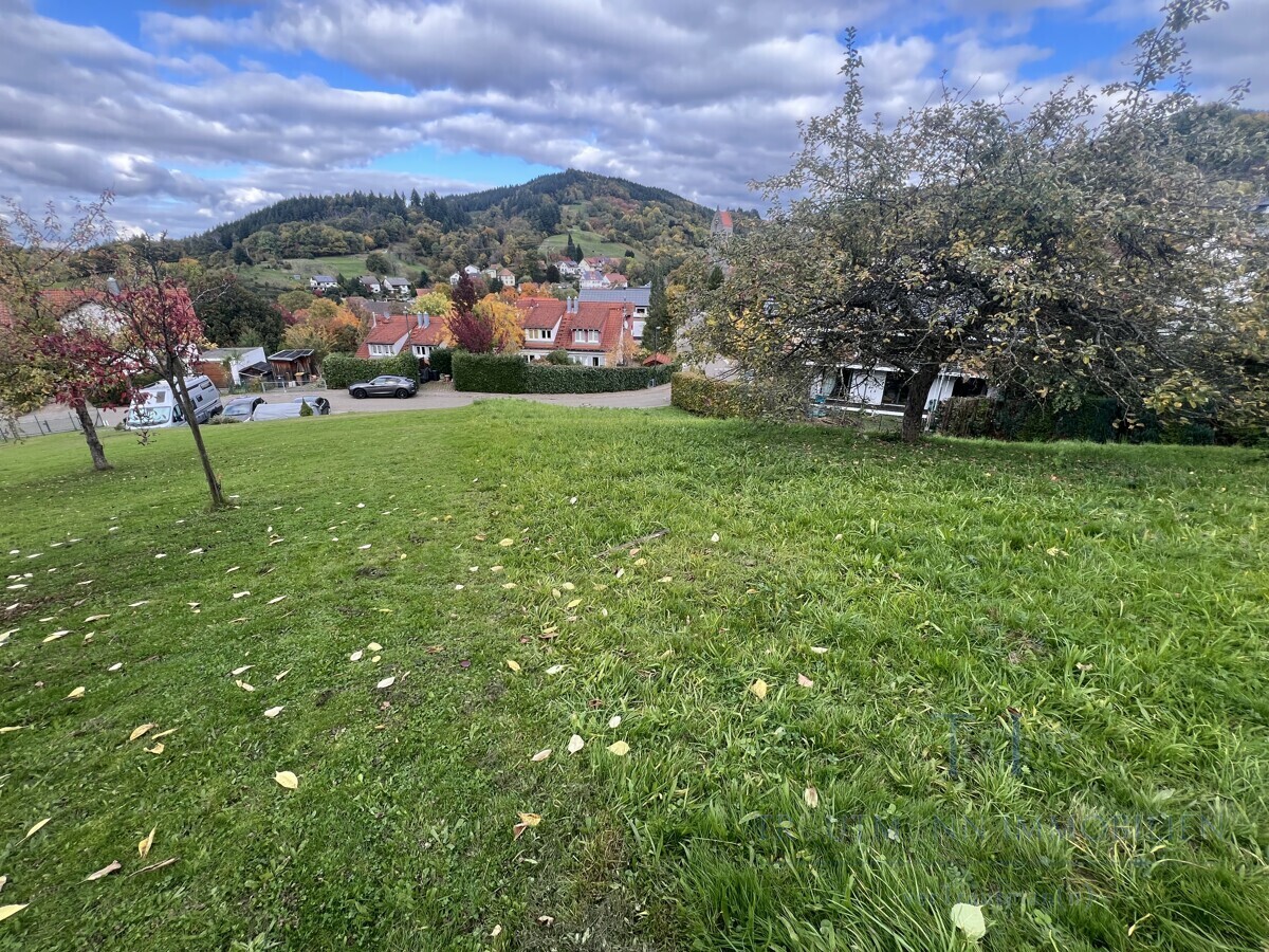 Immobilienbild